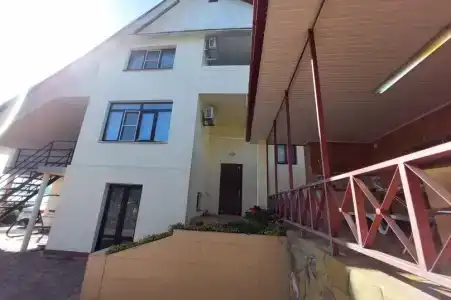 Горная лаванда - 47