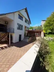 Горная лаванда - 52