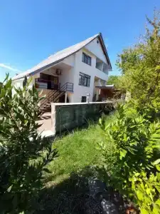 Горная лаванда - 57