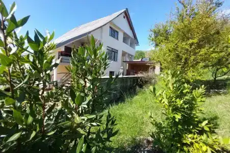 Горная лаванда - 58