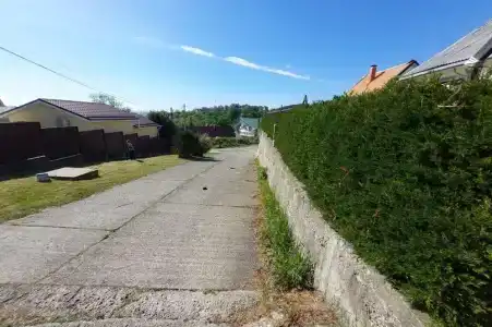 Горная лаванда - 59