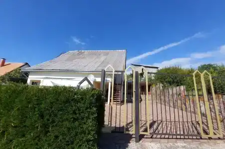 Горная лаванда - 60