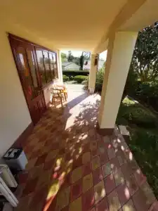 Горная лаванда - 62