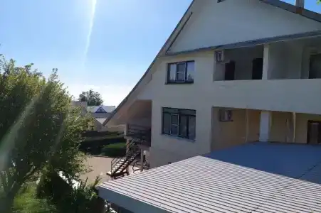 Горная лаванда - 63