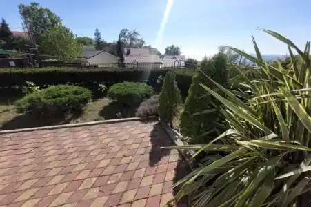 Горная лаванда - 66