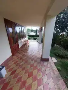 Горная лаванда - 69