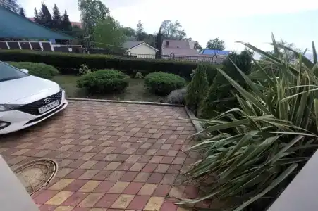 Горная лаванда - 70