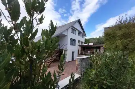 Горная лаванда - 71