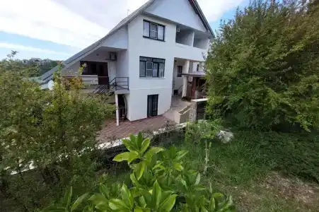 Горная лаванда - 73