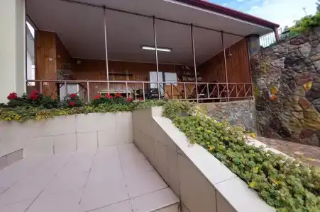 Горная лаванда - 75