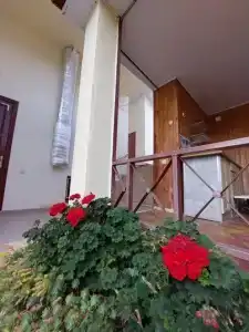 Горная лаванда - 76