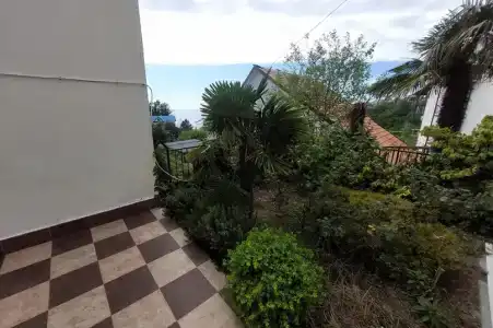 Горная лаванда - 79