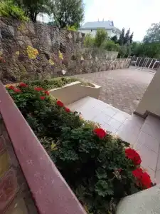 Горная лаванда - 81