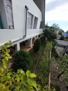 Горная лаванда - 83