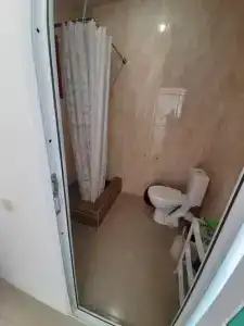 Горная лаванда - 198