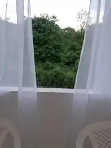 Горная лаванда - 199