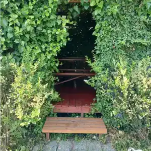 Горная лаванда - 87