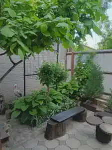 Уютный дворик - 40