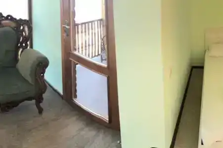 Дельфин - 14