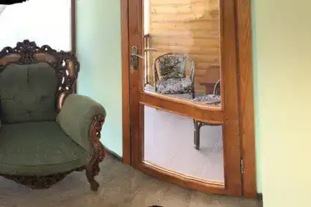 Дельфин - 15