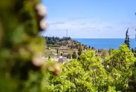 Сан-Сити - 77