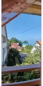 Горная лаванда - 225