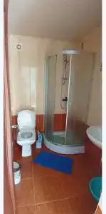 Горная лаванда - 227