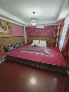 Яна-каро - 14