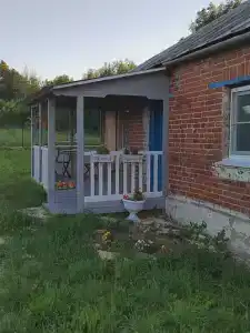 Антоновские яблоки - 0