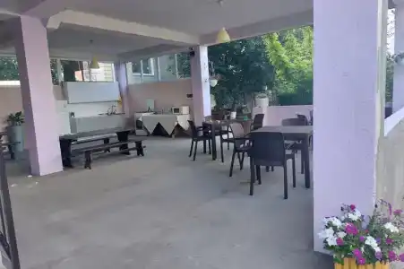 Alex - 2
