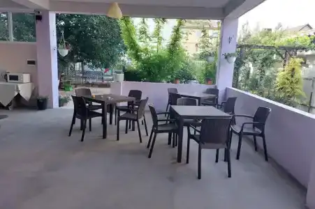 Alex - 3