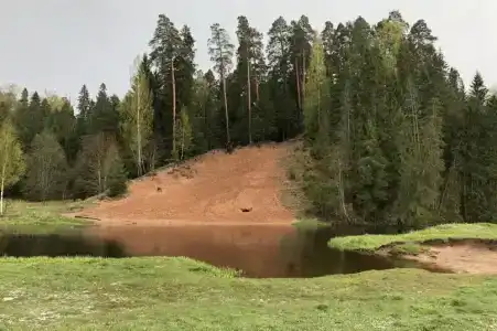 Шишкин лес - 3