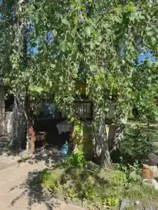 Коттедж на берегу озера Балтым - 20