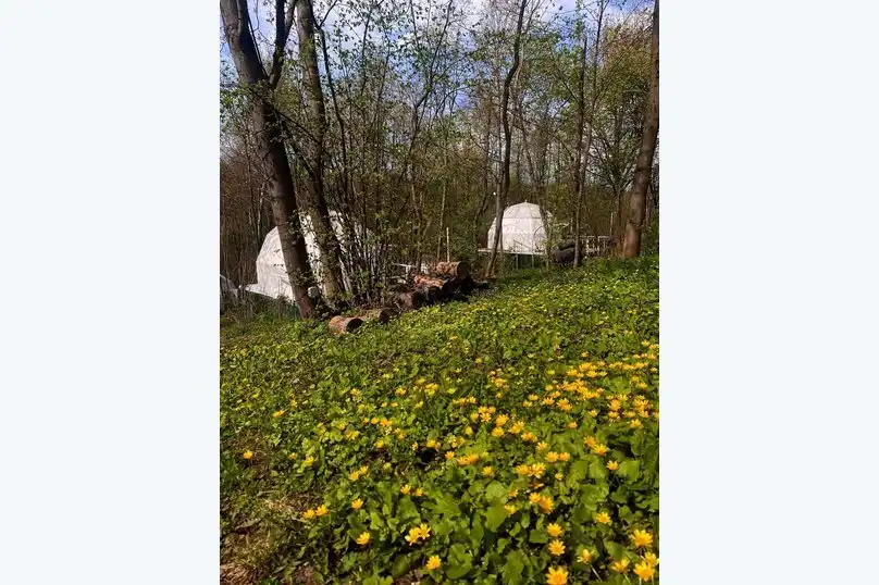 Изгиб - 31