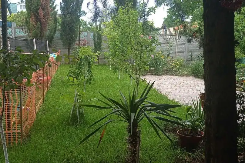 Сказочный - 42