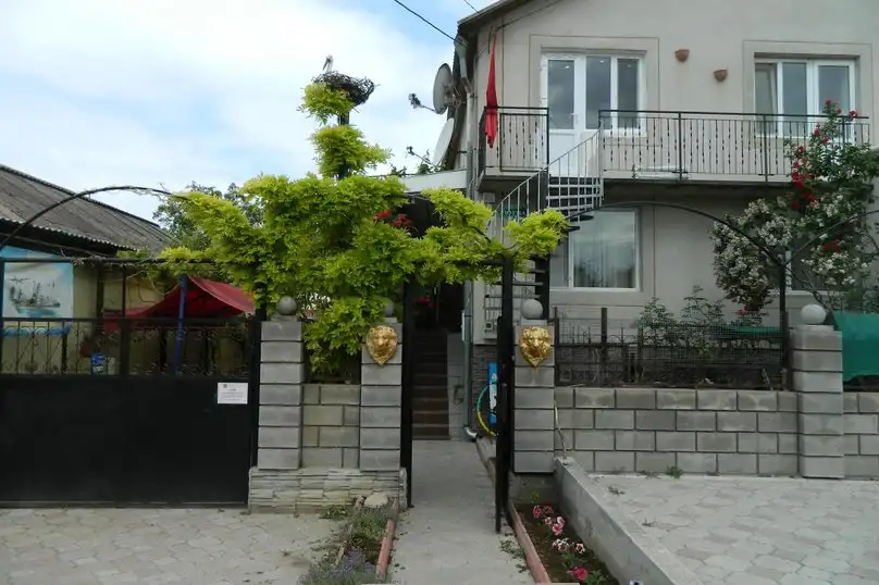 Сказочный - 50