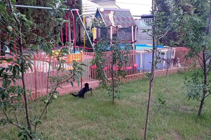 Сказочный - 53