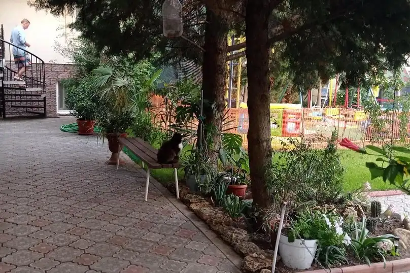 Сказочный - 56