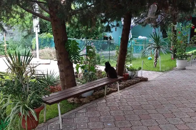 Сказочный - 59