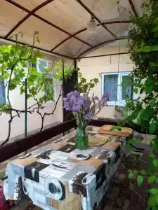 Лидия - 5