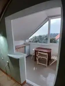 Горная лаванда - 160