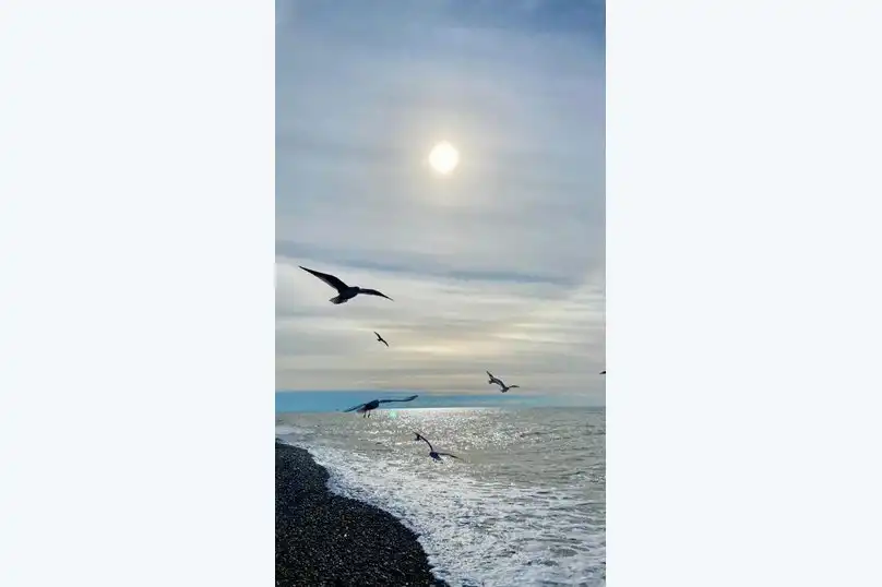 Гостевой дом у Анны - 11