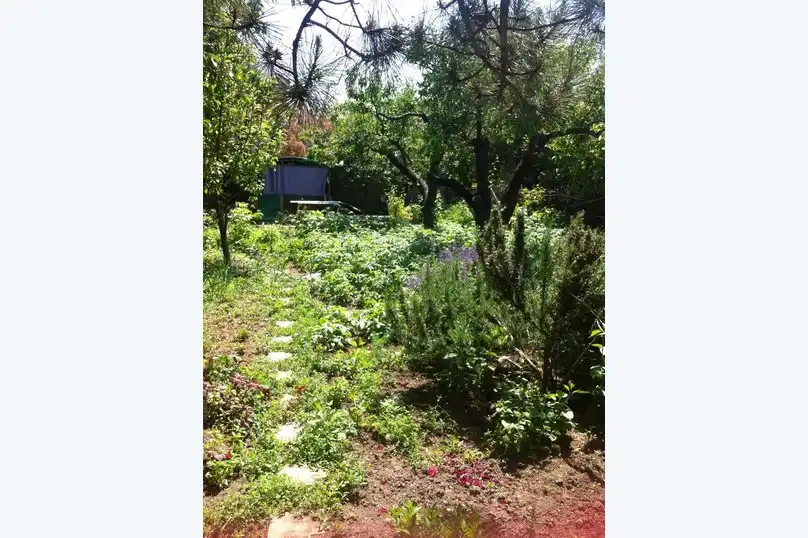 Высокий берег - 53