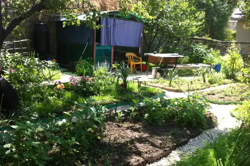 Высокий берег - 54