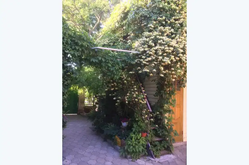 Высокий берег - 82