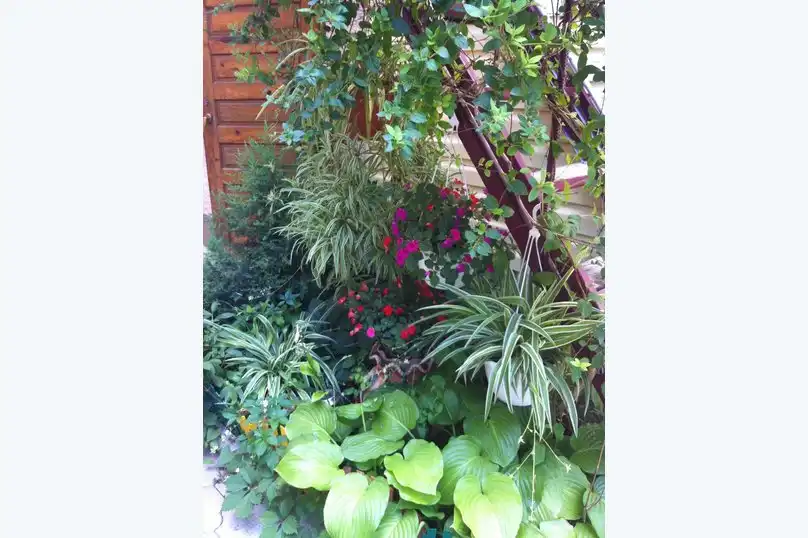 Высокий берег - 35