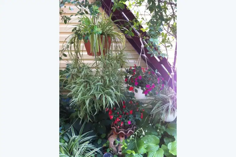 Высокий берег - 36