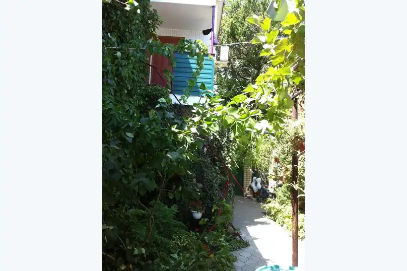 Высокий берег - 37