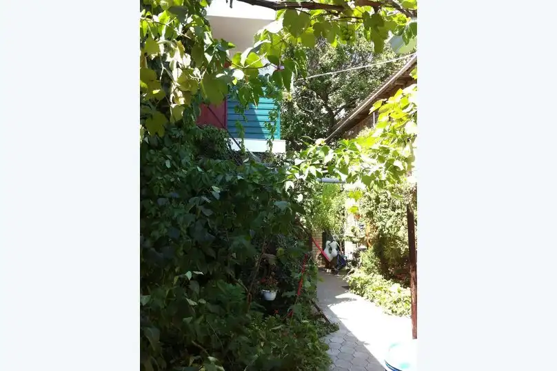 Высокий берег - 39