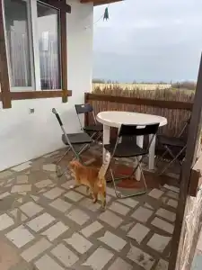 Хуторок - 73